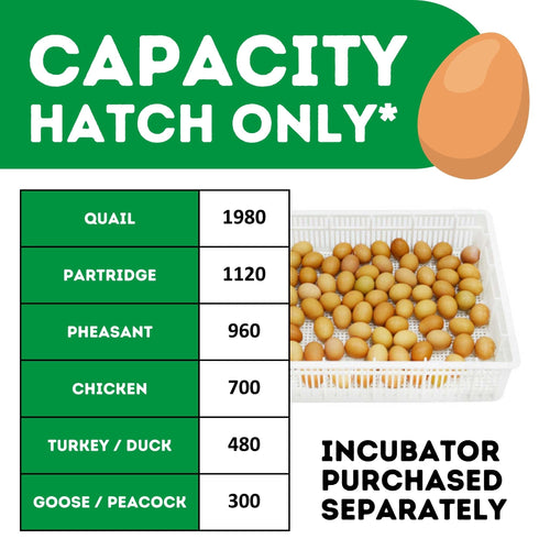 HB700 H - Fully Automatic Egg Hatcher