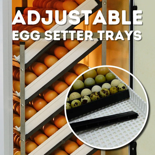 HB700 S - Automatic Setter Egg Incubator