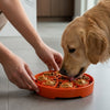 Citrus Softie eTray Shallow Slow Feeder Dog Bowl |  USA Made