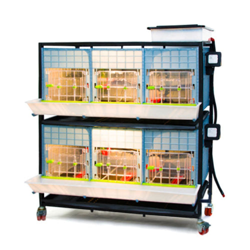 Chick Brooder - 2 Layer H: 15
