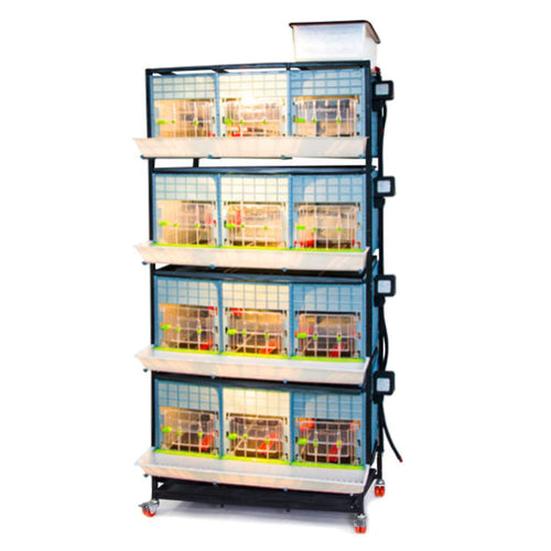 Chick Brooder - 4 Layer H: 15