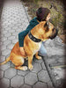 Maximus Silver BIG dog SET- Harness - collar - lead. Black