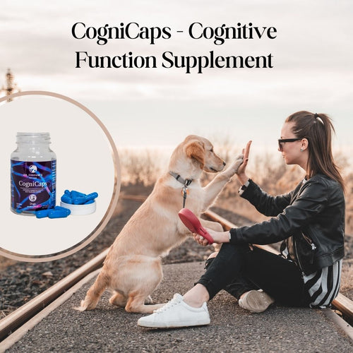 CogniCaps - Canine Cognitive Function Supplement for Dogs