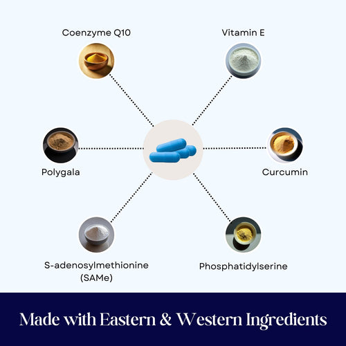 CogniCaps - Canine Cognitive Function Supplement for Dogs