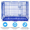 30 Collapsible Blue Dog Crate BLU30