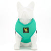 EcoBark Mint Turquoise Dog Harness - Over-the-Head Soft Mesh Vest Halter for Small to Medium Dogs
