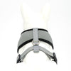 EcoBark Gray Dog Harness - Over-the-Head Dog Soft Mesh Vest Halter for Small to Medium Dogs and Puppies