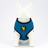 EcoBark Teal Dog Harness - Over-the-Head Soft Mesh Dog Vest Halter for Small to Medium Dogs and Puppies
