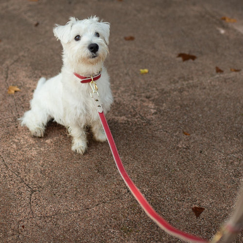 Leash 4ft - Vegan Leather - Copenhagen