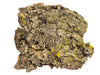 Cork Bark