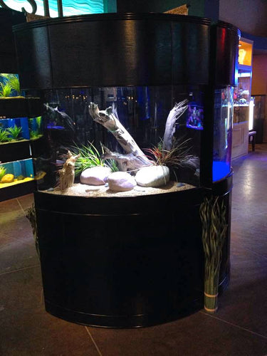 Glass Corner