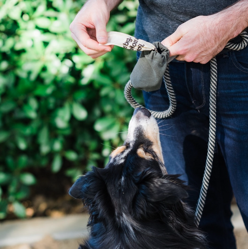 Boba & Vespa Cloth Dog Poop Bag Holder in Cotton Canvas