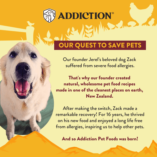 Country Chicken & Apricot Air-Dried Dog Food