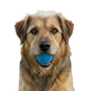 Glitter Ball  Dog Toy | Soft PUP-X Rubber Floating Fetch Ball with Treat Dispenser | USA Made