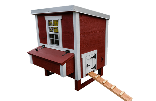 Medium Chicken Coop - Up to 10 Chickens