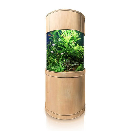 Glass Full Cylinder