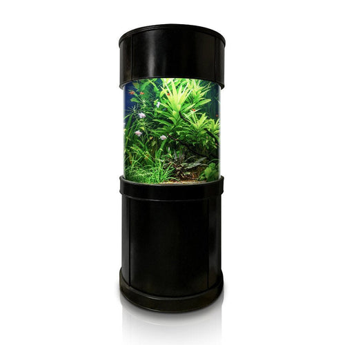 Glass Full Cylinder
