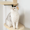 Door Hanging Bed Comfort Eco-Friendly Pine Wood Stable Durable Scratch Board Pet Climbing Frame