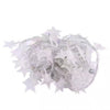 Ornamental Festoon Lamp LED Star Light String