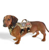 K9R - M5 MOLLE Light Vest