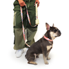 Molly Leash