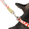 Molly Leash
