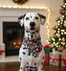 Christmas Dog Bandanas