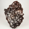 Dark Chocolate Marshy Apophyllite Free Standing dual Side Natural Mineral Specimen # B 6446
