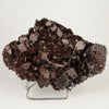 Dark Chocolate Marshy Apophyllite Free Standing dual Side Natural Mineral Specimen # B 6446