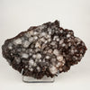 Dark Chocolate Marshy Apophyllite Free Standing dual Side Natural Mineral Specimen # B 6446