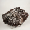 Dark Chocolate Marshy Apophyllite Free Standing dual Side Natural Mineral Specimen # B 6446