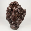 Dark Chocolate Marshy Apophyllite Free Standing dual Side Natural Mineral Specimen # B 6446