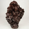 Dark Chocolate Marshy Apophyllite Free Standing dual Side Natural Mineral Specimen # B 6446