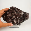 Dark Chocolate Marshy Apophyllite Free Standing dual Side Natural Mineral Specimen # B 6446