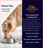 Power Pup Fermented Superfood Turmeric Powder for Pets