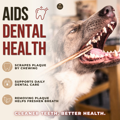 6 Inch Jumbo Bully Stick