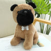 Nari Doll Ragdoll Children's Birthday Gift