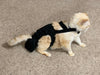 Diapurr Cat Diaper