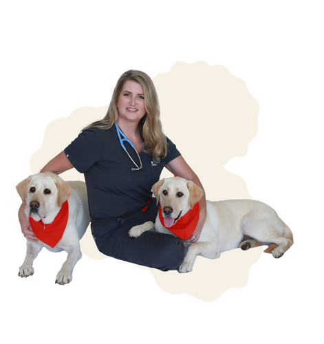 **SALE** Pet Vet First Aid Guide Paperback – Dog & Cat Emergency Handbook with CPR, Toxicity Charts, Dosage Calculators & Step-by-Step Pet First Aid Instructions