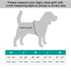 NeoAlly Upgraded Dog Surgical Recovery Vest for Dogs and Cats