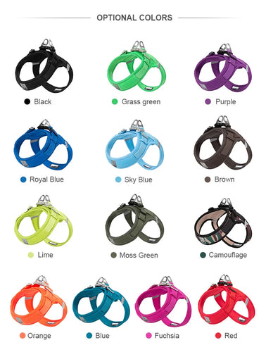 TrueLove Mesh Dog Harness - Soft Breathable No-Pull Harness for Small Dogs - Red (TLH3013)