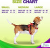 Dog Harness Walking kit and Leash Set