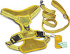 Dog Harness Walking kit and Leash Set