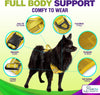 Dog Harness Walking kit and Leash Set