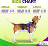 Dog Harness Walking kit and Leash Set