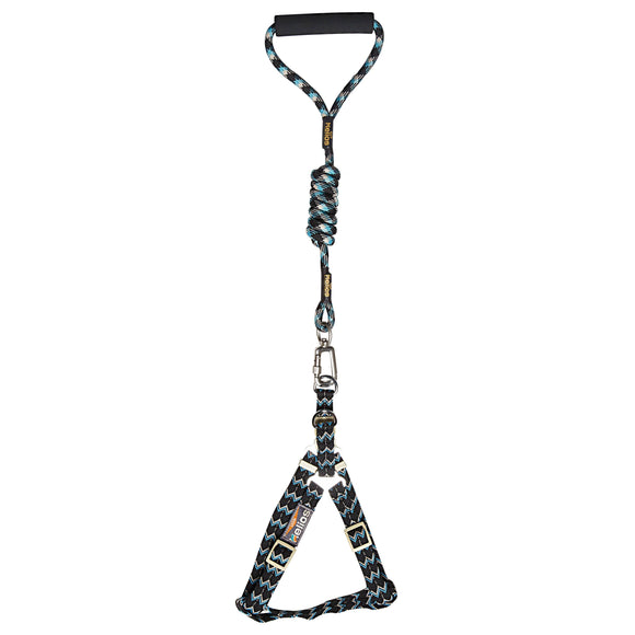Dog Helios 'Surfside' Adjustable Dog Harness and Leash