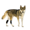 NeoAlly Rear Leg Hock Brace - Metal Spring Strips for Small Dogs [Short Version] (Pair)