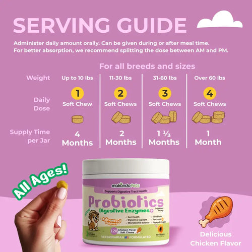 Dog Probiotics Digestive Enzymes - 120 Soft Chews