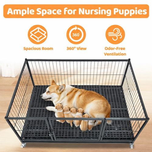 43 Upgraded Puppy Whelping Box WHLP02