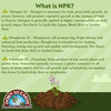 Down To Earth™, Alfalfa Meal 2-0-1, All Natural Fertilizer, Single Ingredient (4 LBS.)